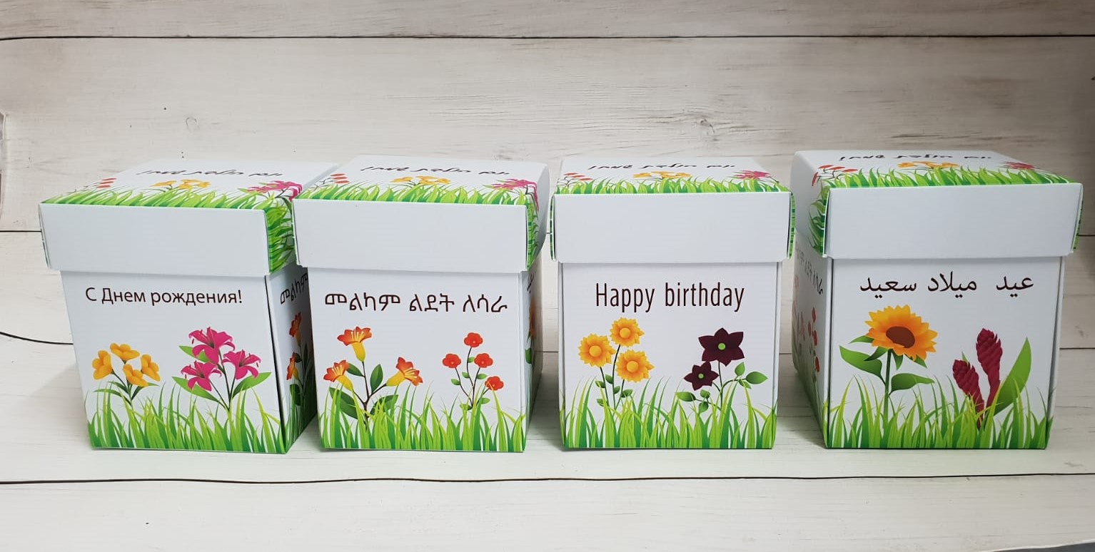 מארזי פרח ליום הולדת בעיצוב מקורי – תמונה 2